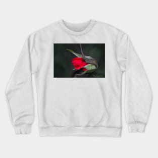 Anticipation Crewneck Sweatshirt